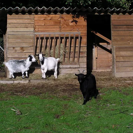 Campsite La Pindiere 3*