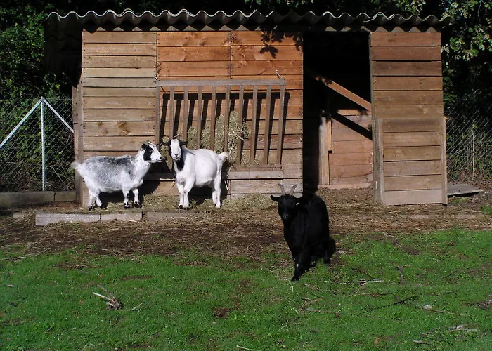 캠프장 La Pindiere 3*